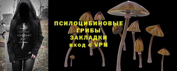 jwh Аркадак